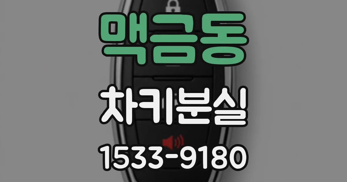 맥금동 차키분실