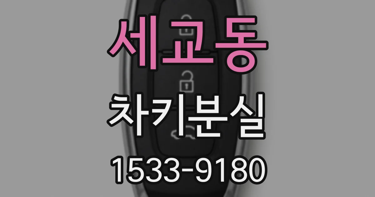 세교동 차키분실