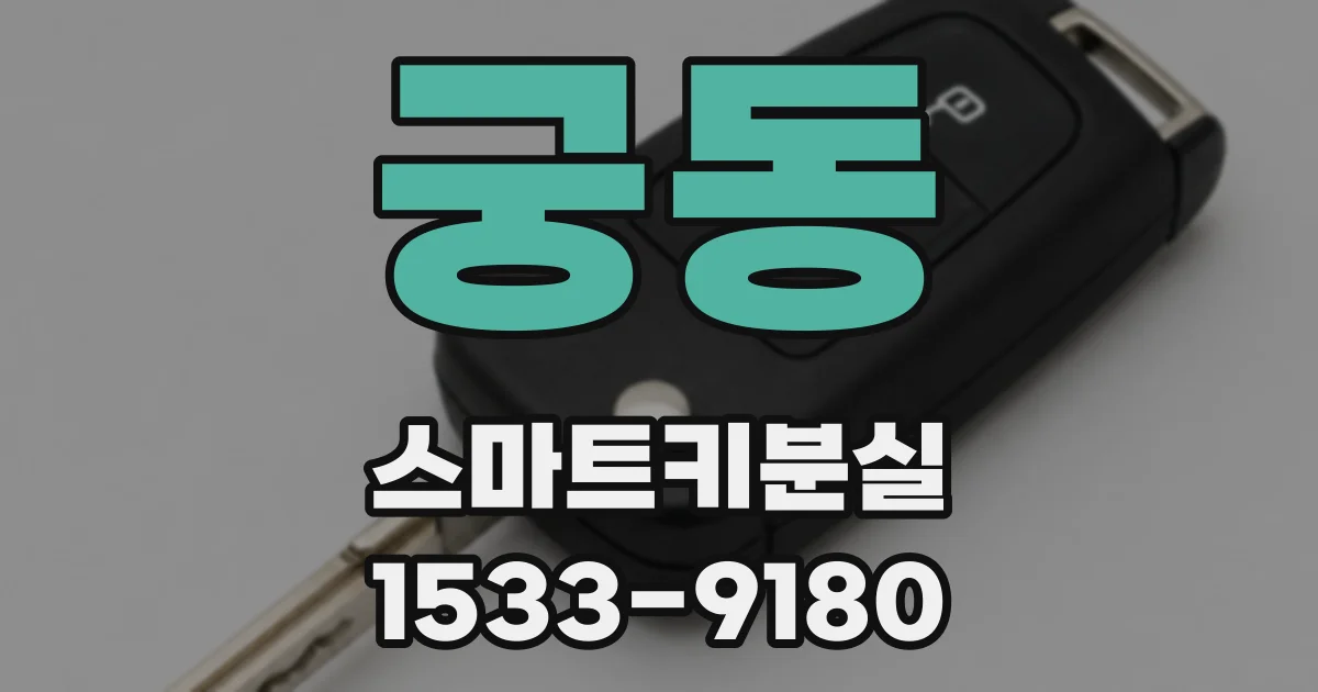 궁동 스마트키분실