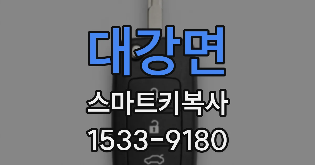 대강면 스마트키복사