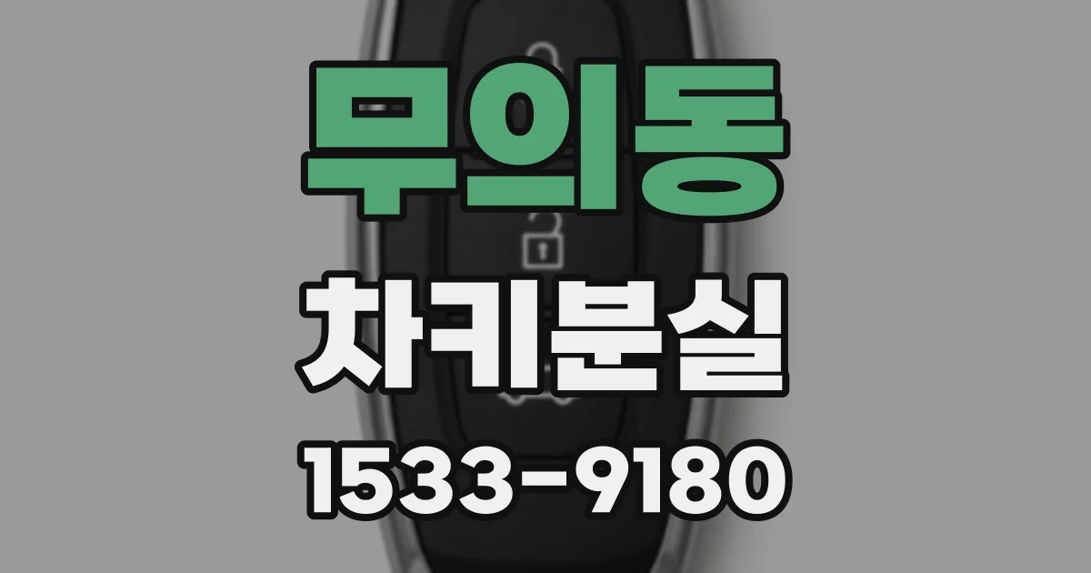 무의동 차키분실