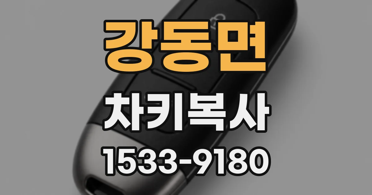 강동면 차키복사