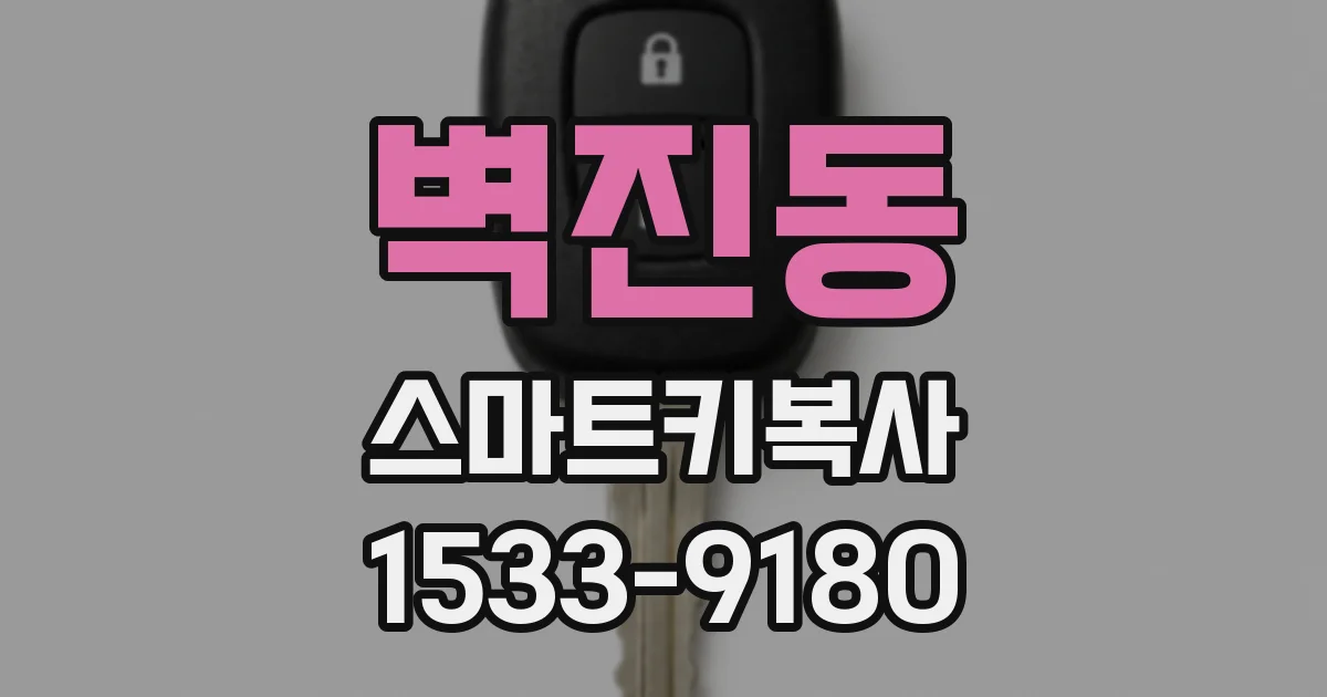 벽진동 스마트키복사
