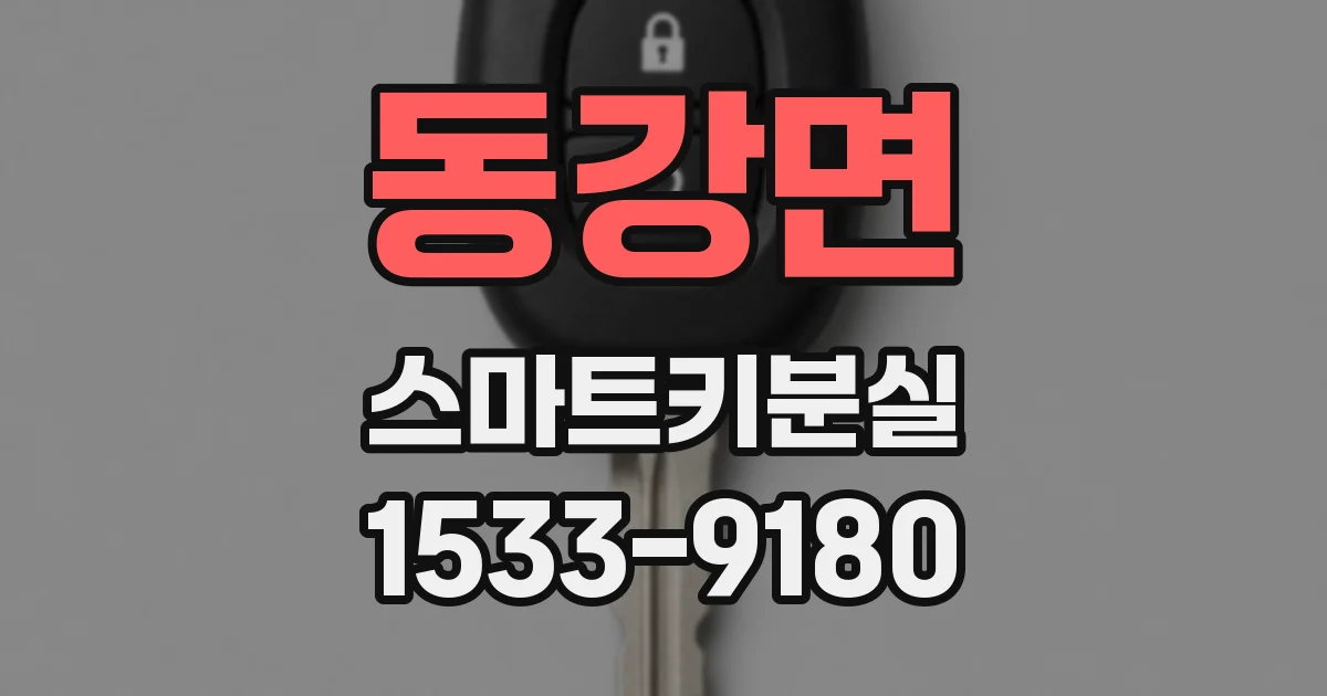 동강면 스마트키분실