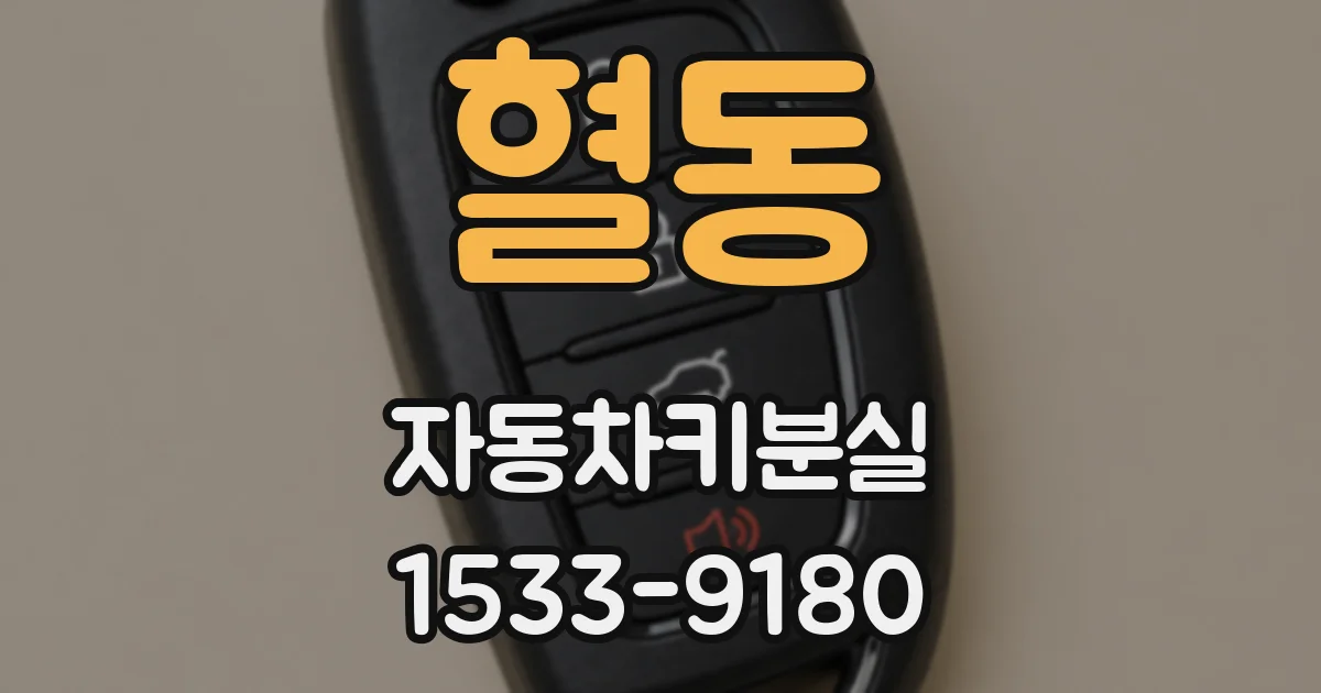 혈동 자동차키분실