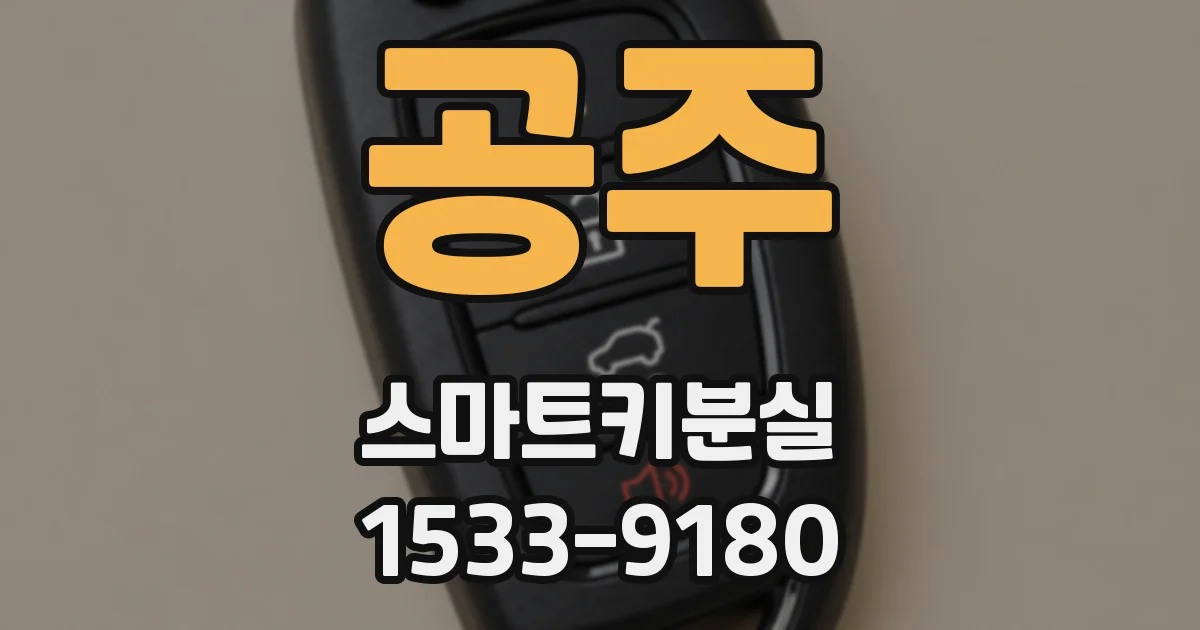 공주 스마트키분실
