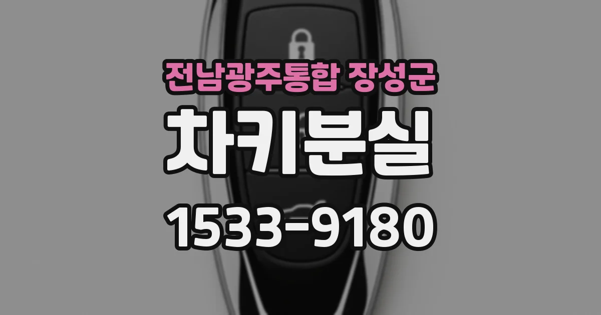 전남광주통합 장성군 차키분실