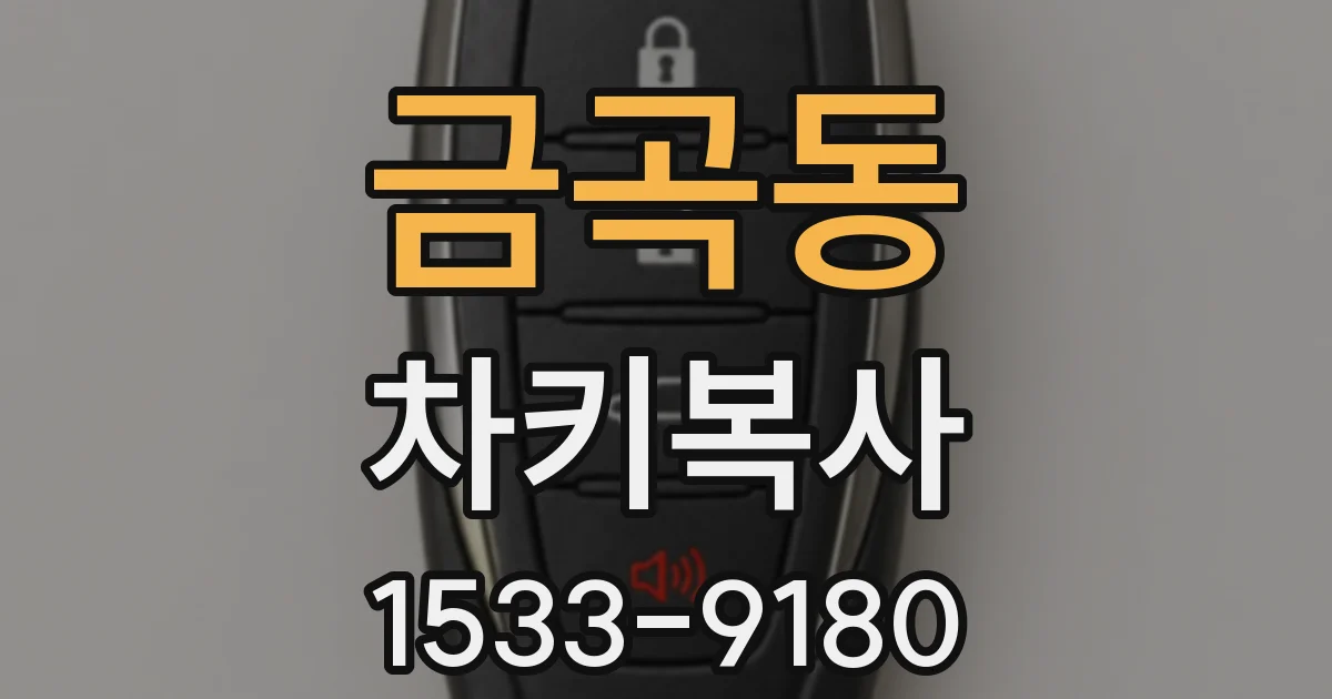 금곡동 차키복사