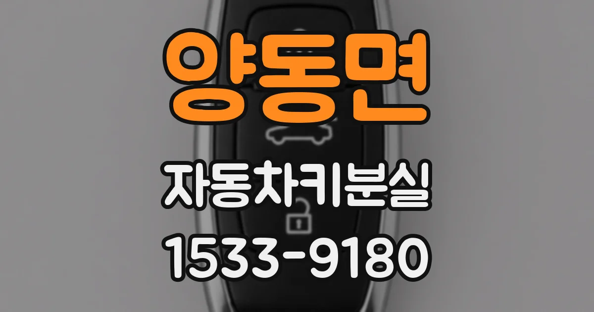 양동면 자동차키분실