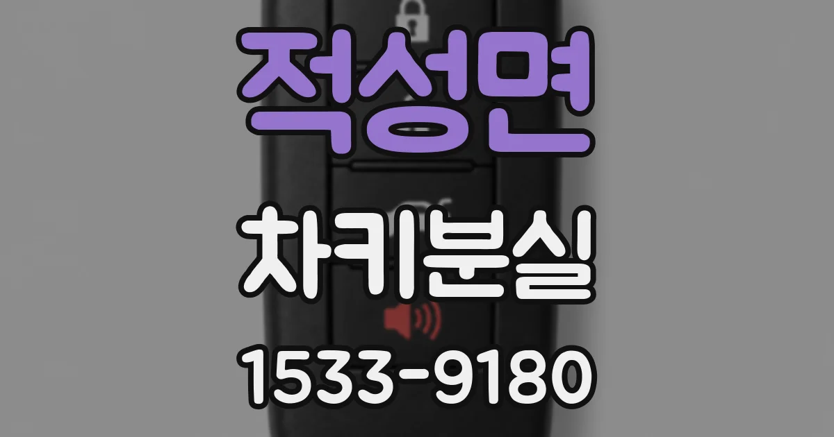 적성면 차키분실