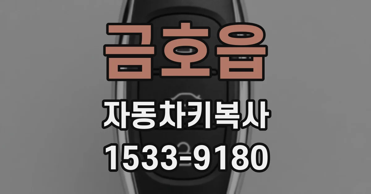 금호읍 자동차키복사