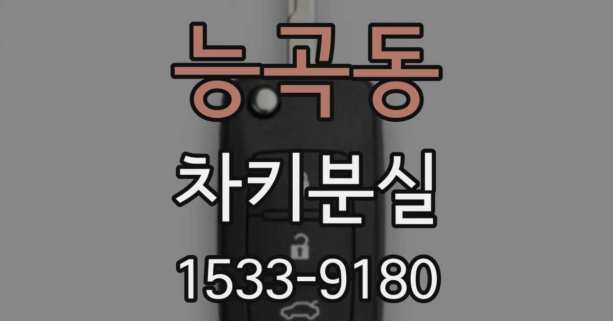 능곡동 차키분실