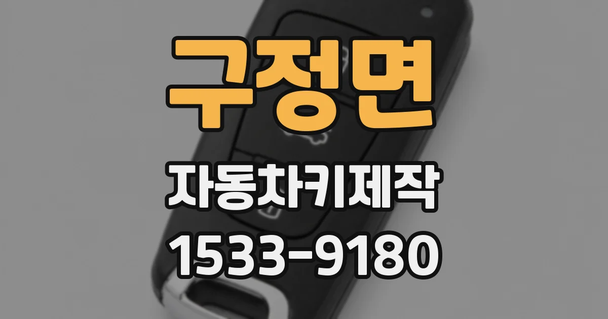 구정면 자동차키제작