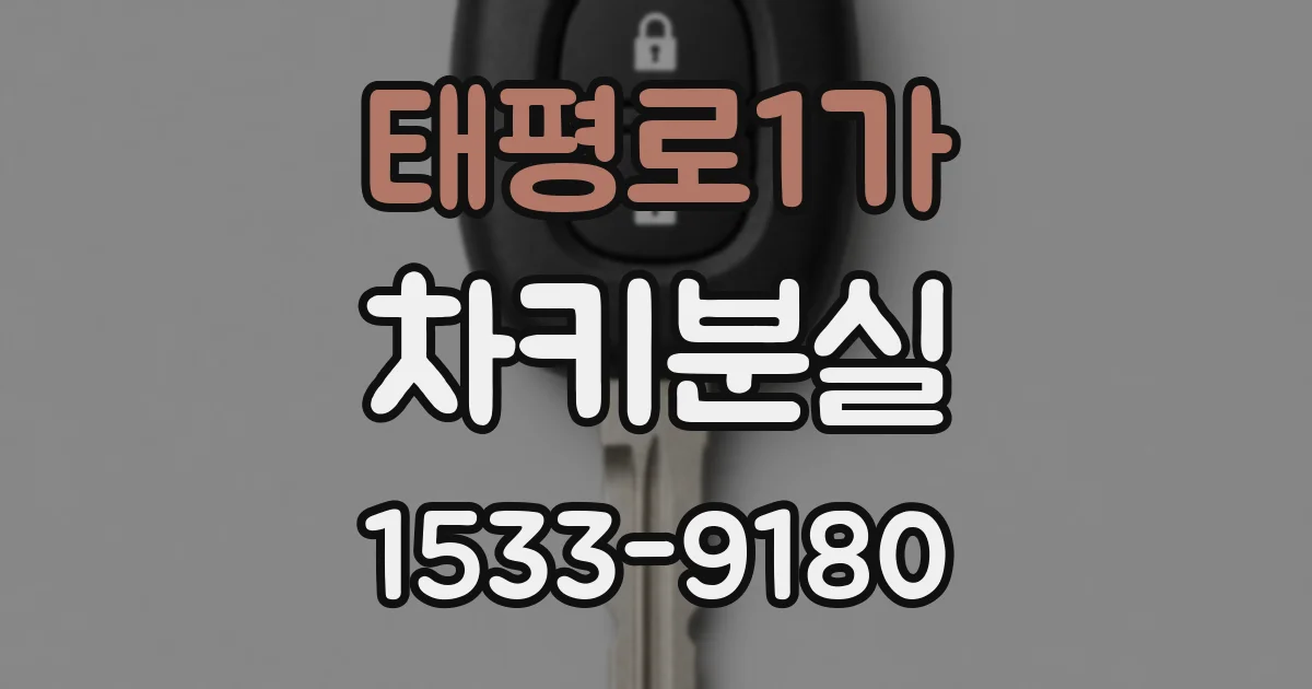 태평로1가 차키분실