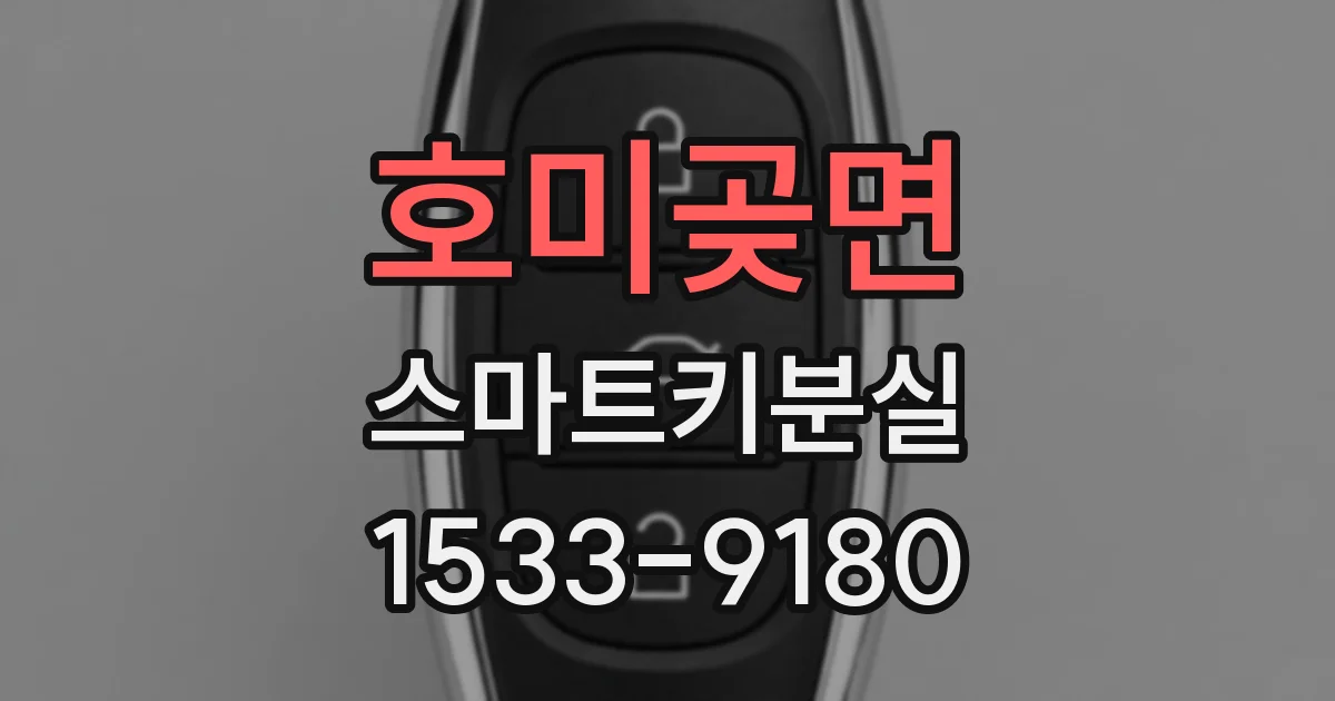 호미곶면 스마트키분실