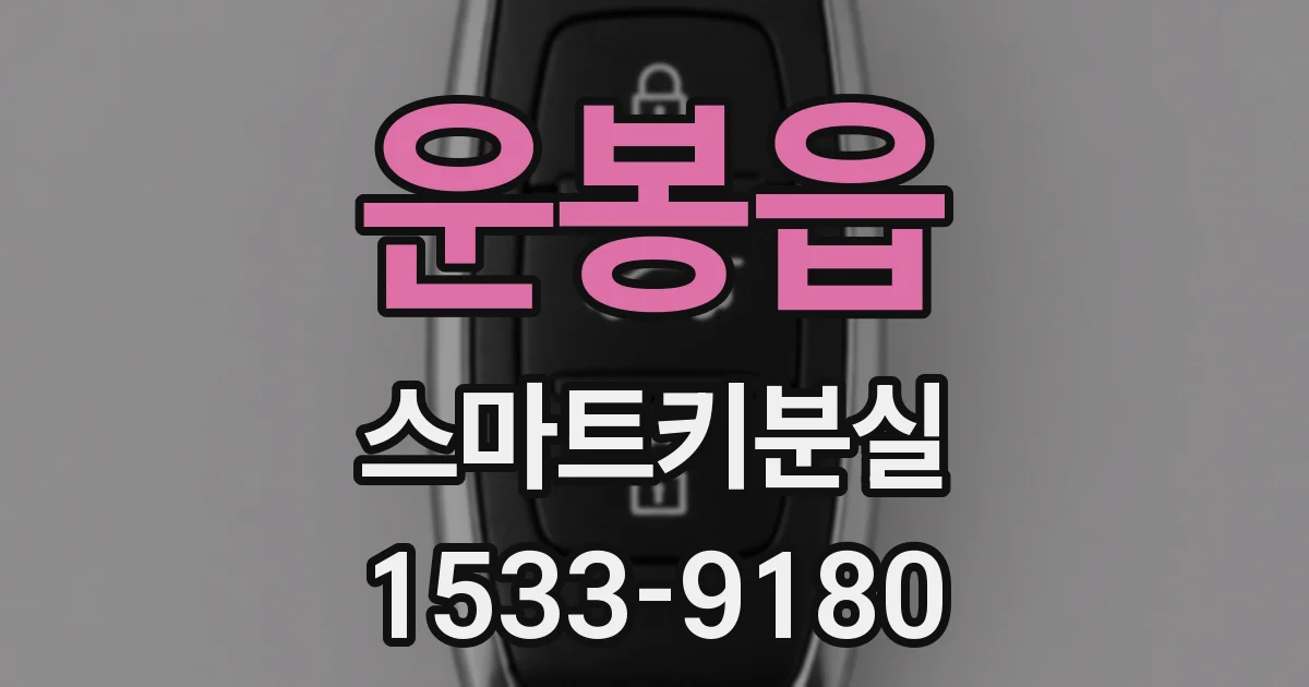 운봉읍 스마트키분실