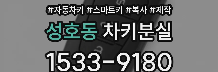 성호동 차키분실