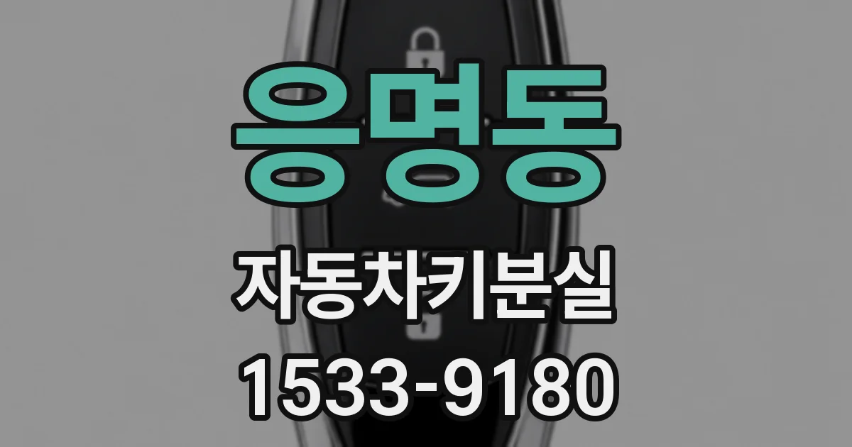 응명동 자동차키분실