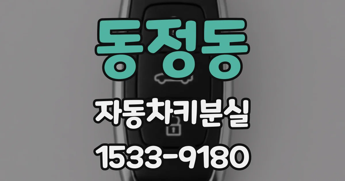동정동 자동차키분실