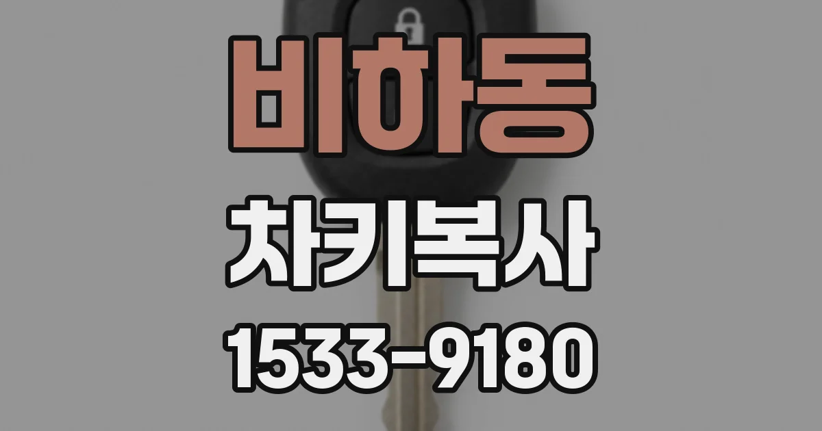 비하동 차키복사