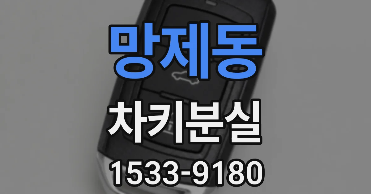 망제동 차키분실