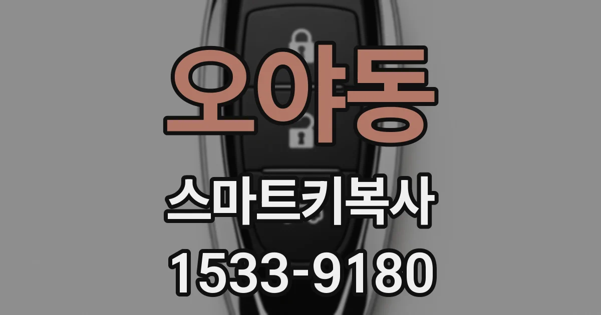 오야동 스마트키복사