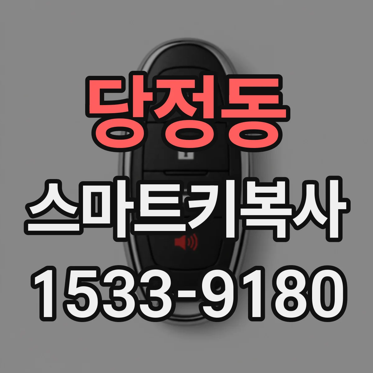 당정동 스마트키복사