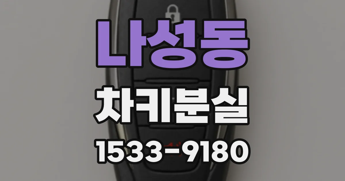 나성동 차키분실