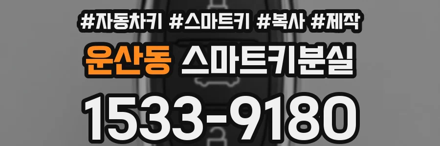 운산동 스마트키분실