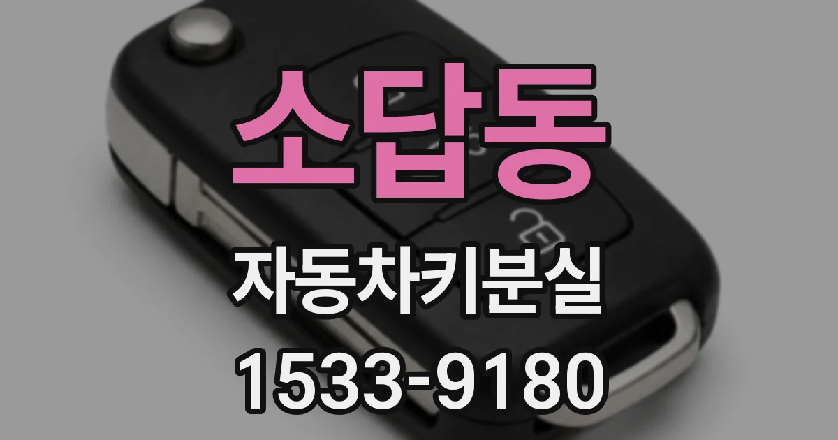 소답동 자동차키분실