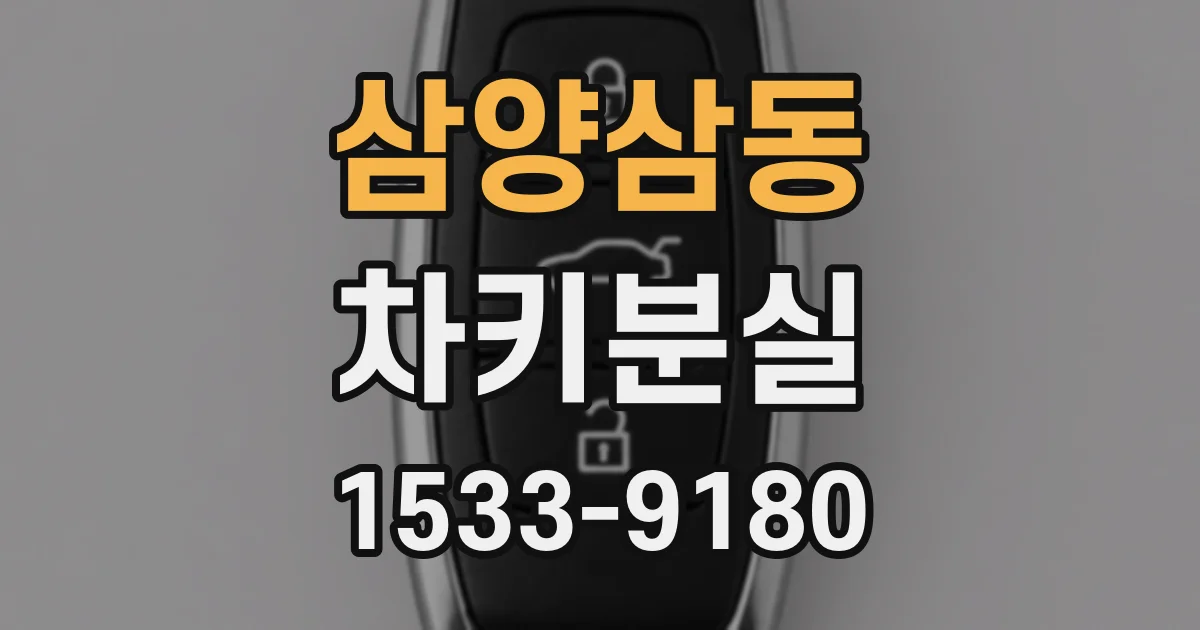 삼양삼동 차키분실