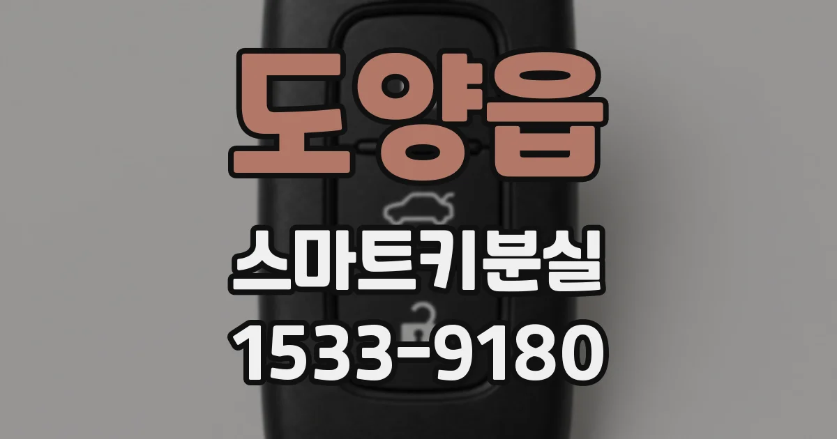 도양읍 스마트키분실