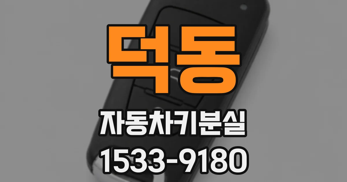 덕동 자동차키분실
