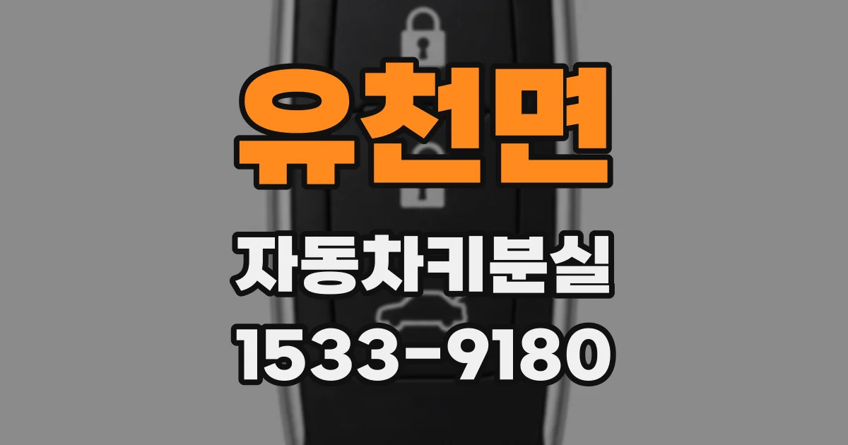 유천면 자동차키분실