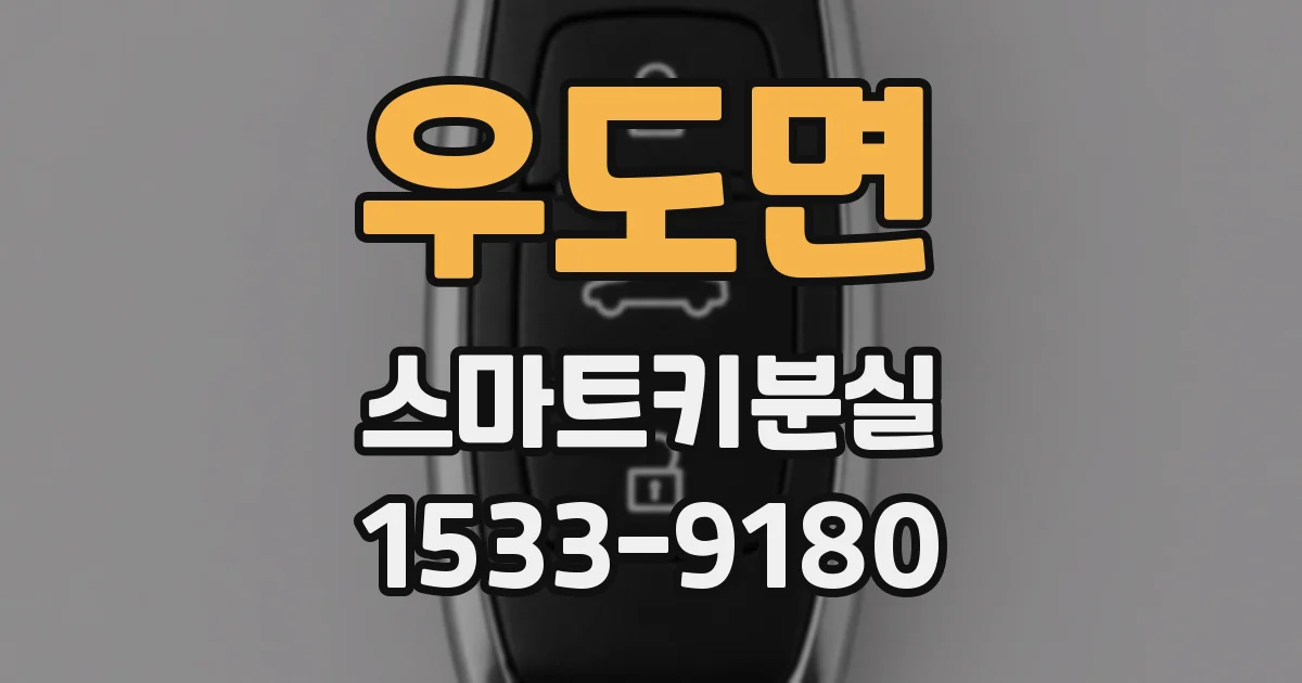 우도면 스마트키분실