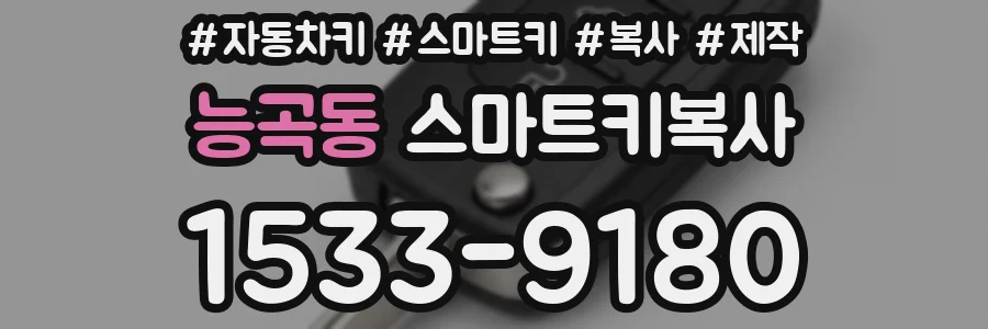 능곡동 스마트키복사