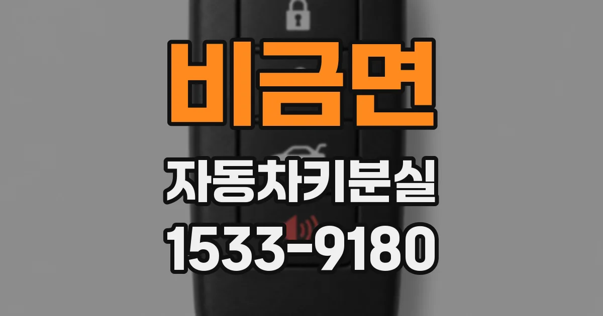 비금면 자동차키분실