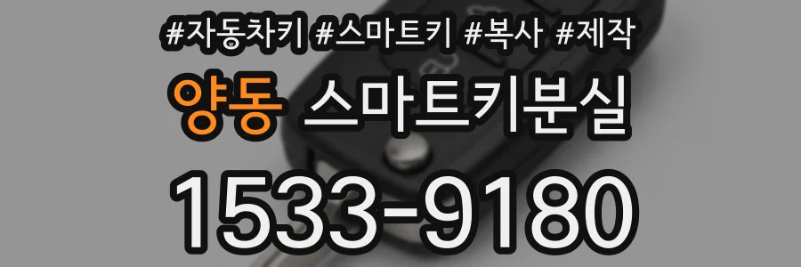 양동 스마트키분실