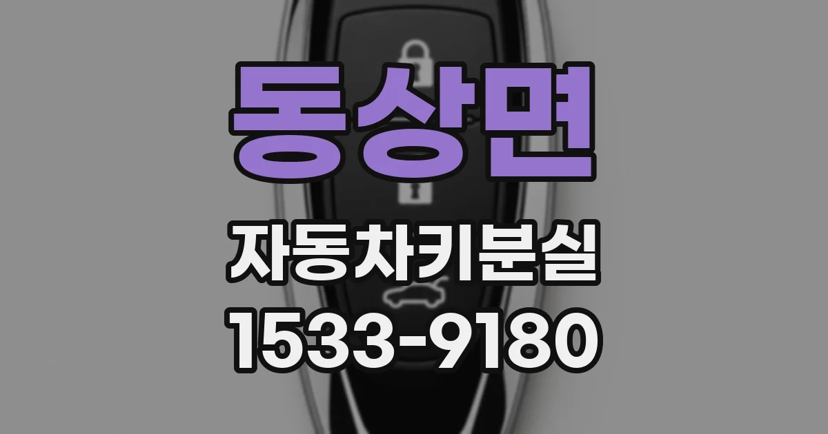 동상면 자동차키분실