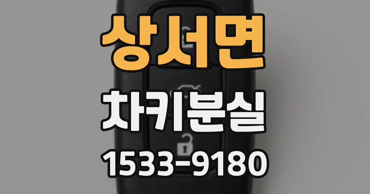 상서면 차키분실