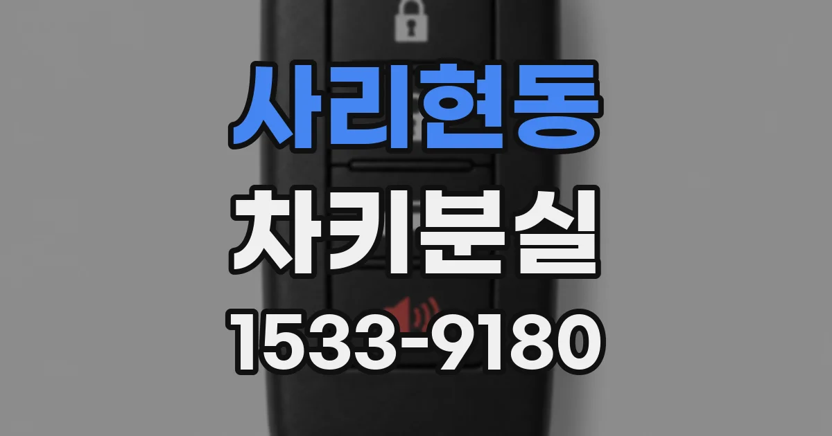 사리현동 차키분실