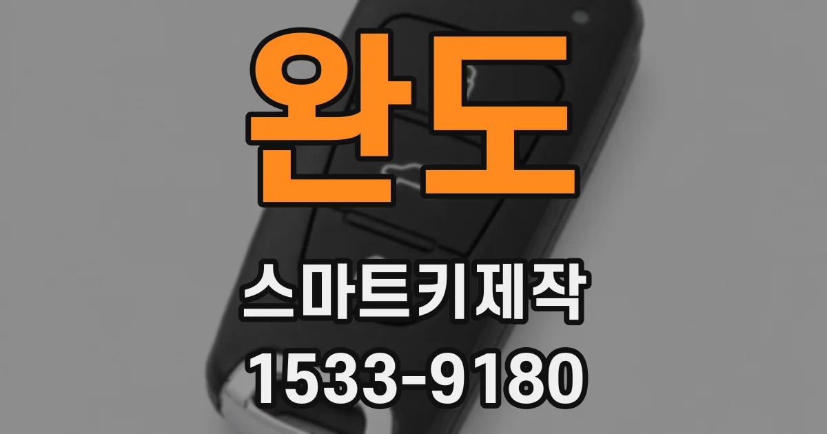 완도 스마트키제작
