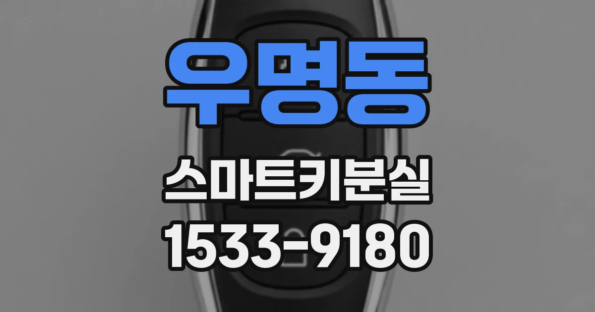 우명동 스마트키분실