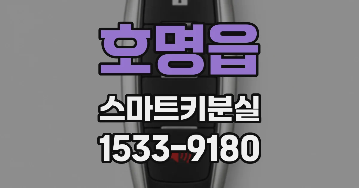 호명읍 스마트키분실