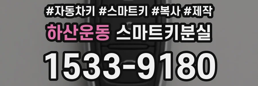하산운동 스마트키분실