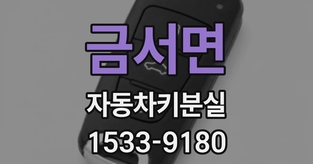 금서면 자동차키분실