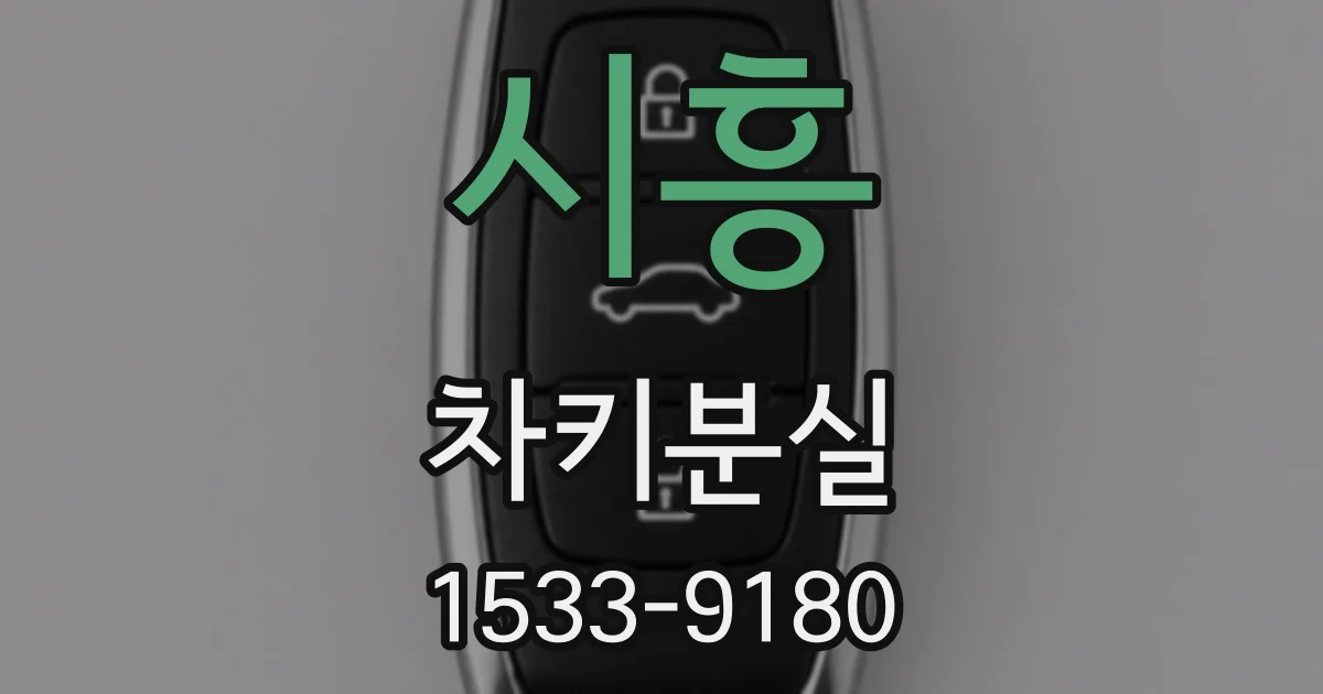 시흥 차키분실
