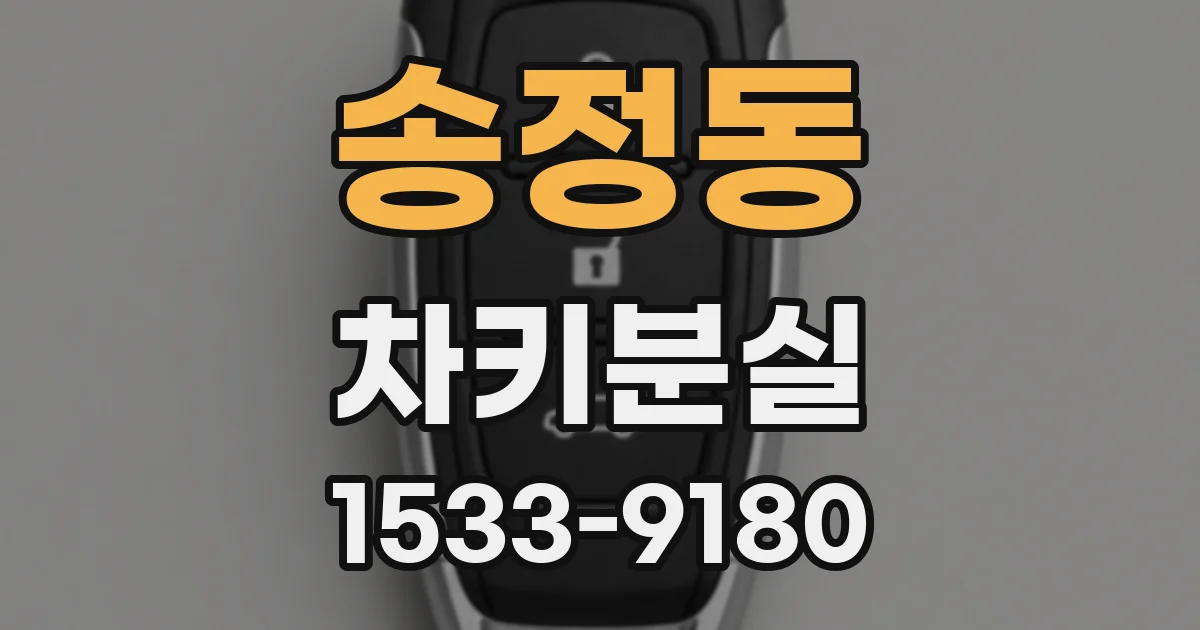 송정동 차키분실