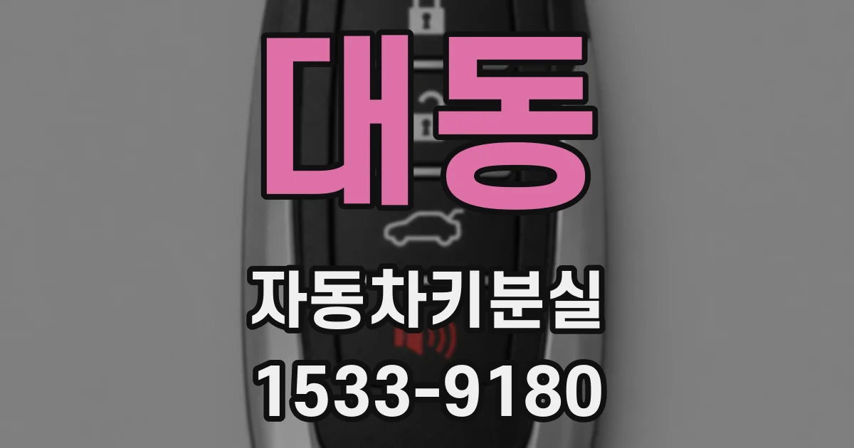 대동 자동차키분실