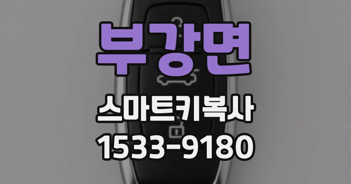 부강면 스마트키복사